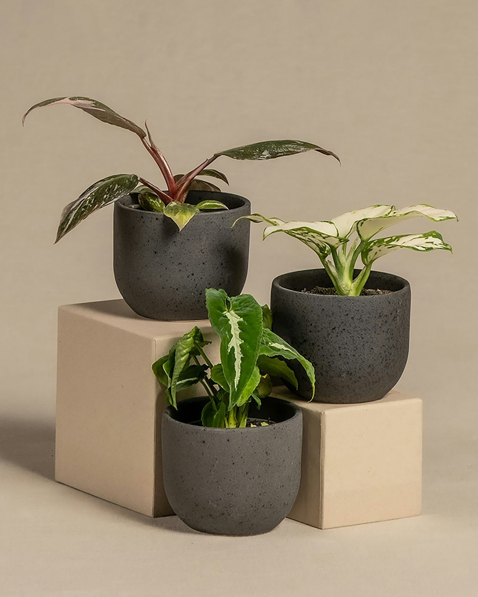 a group of three planters sitting on top of a box